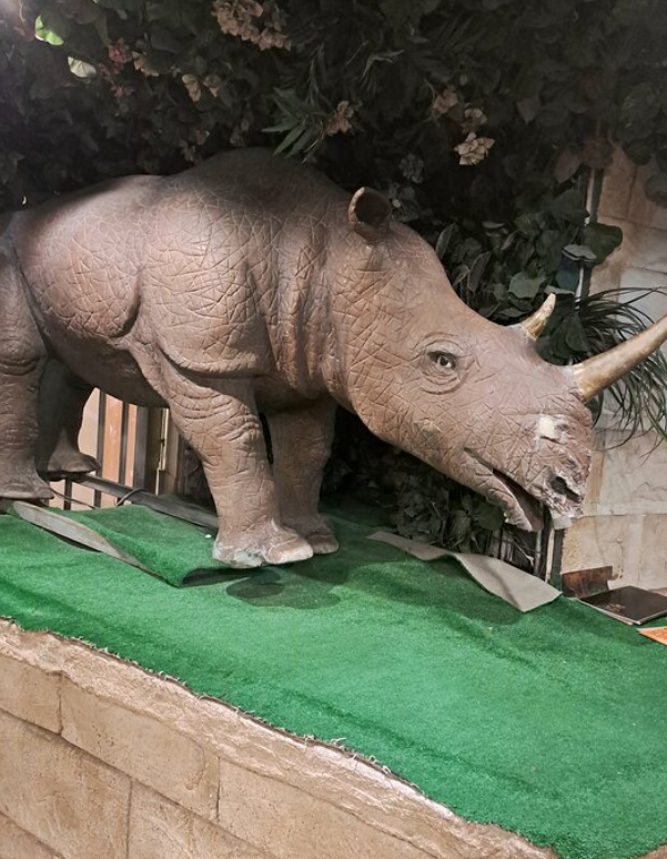 animals at Planet Africa in Cairo