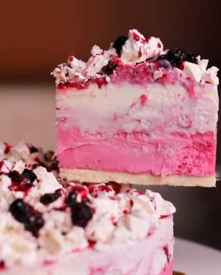 Frozen Yogurt Cake 